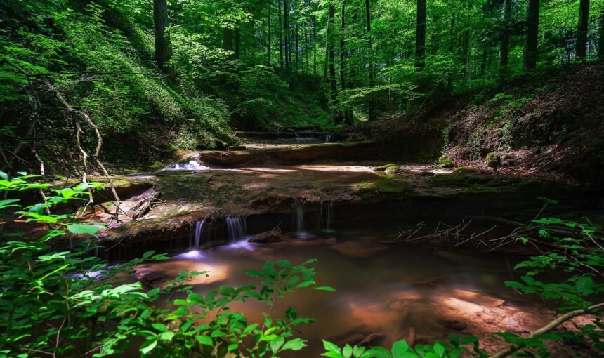 Excursion Taroudant Tiout depuis Agadir : Exploration Historique et Oasis Verdoyante – Immersion Berbère Authentique 2026