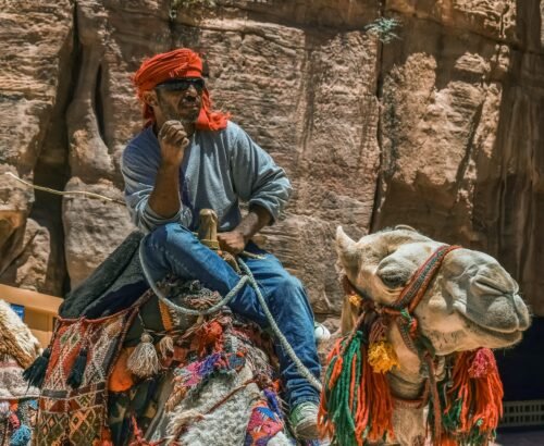 dimitrisvetsikas1969-camel-4358580_1920