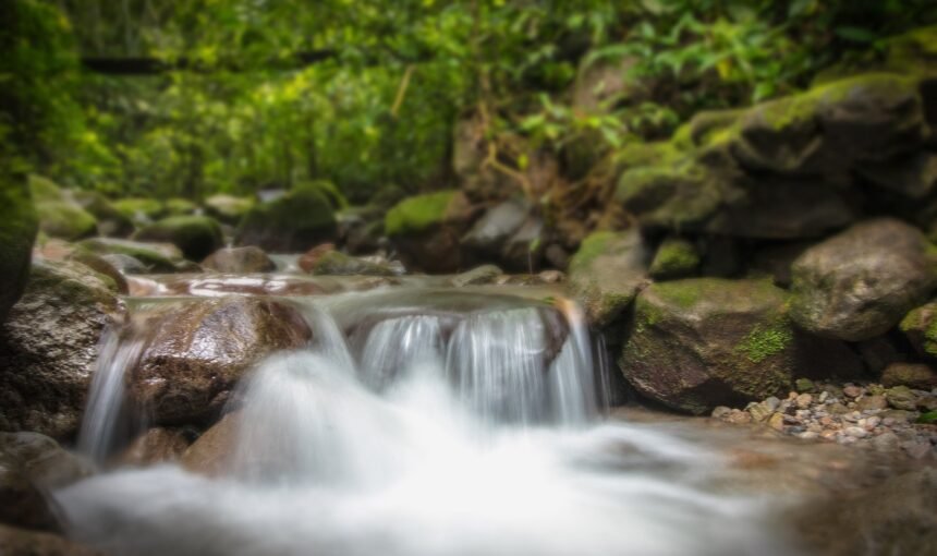 Excursion Tafraout et Tiznit depuis Agadir : Paysages Époustouflants & Artisanat Berbère Authentique – Journée Inoubliable 2026
