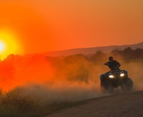 ronaldplett-quad-7708760_1920