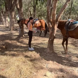 Balade à Cheval — Forêt d’Eucalyptus