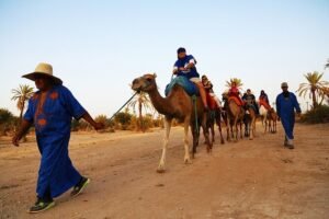 Balade à Dos de Dromadaire Agadir : Tradition Marocaine Authentique