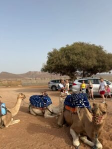Safari 4×4 & Chameaux — Coucher de Soleil
