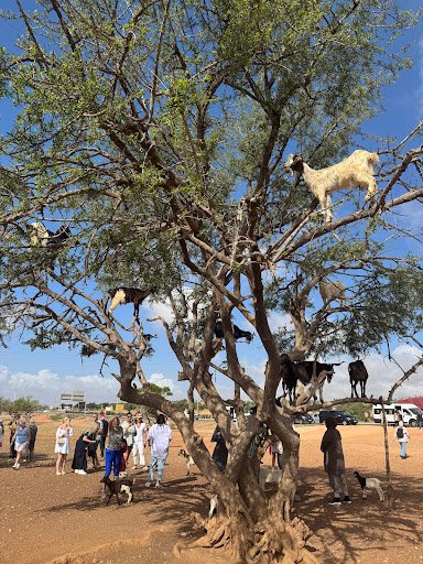 Groupe à l'embouchure d'Oued Souss