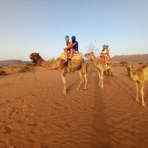 Caravane de Dromadaires au coucher du soleil