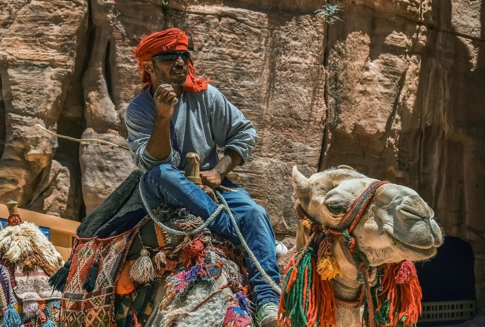 Balade à Dos de Dromadaire Agadir : Tradition Marocaine Authentique