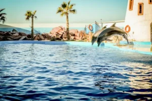Dolphin World Agadir