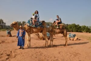 Balade à Dos de Dromadaire Agadir : Tradition Marocaine Authentique