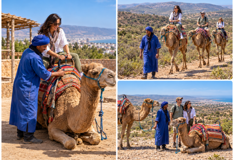 Balade à dos de dromadaire à Agadir